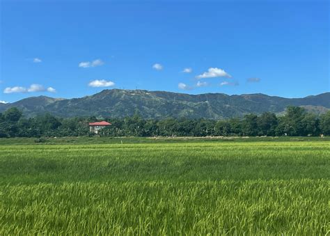 iyotan sa bukid